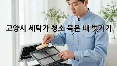 🫧 고양시 세탁기 청소, 묵은 때 벗기기! 🧺✨