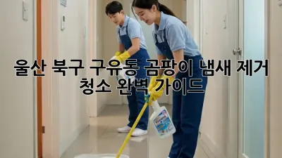 울산 북구 구유동 곰팡이 냄새 제거 청소 완벽 가이드